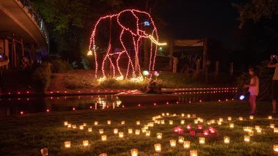 Leuchtender Elefant beim Lichterfest im Stadtgarten.