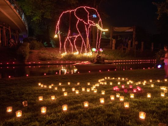 Leuchtender Elefant beim Lichterfest im Stadtgarten.