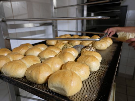 Brötchen in der Bäckerei Rabe. Fürs täglich Brot sorgen Hunderte Handwerksbäcker in Sachsen. Doch angesichts der Preisspirale bei Zutaten und Energie geraten sie immer stärker unter Druck. 