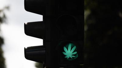 Ein Cannabis-Blatt leuchtet während der Grünphase an einer Ampel. Die Cannabis-Legalisierung in Deutschland kann kommen. Das Bundeskabinett beschloss einen entsprechenden Gesetzesentwurf von Gesundheitsminister Lauterbach. +++ dpa-Bildfunk +++