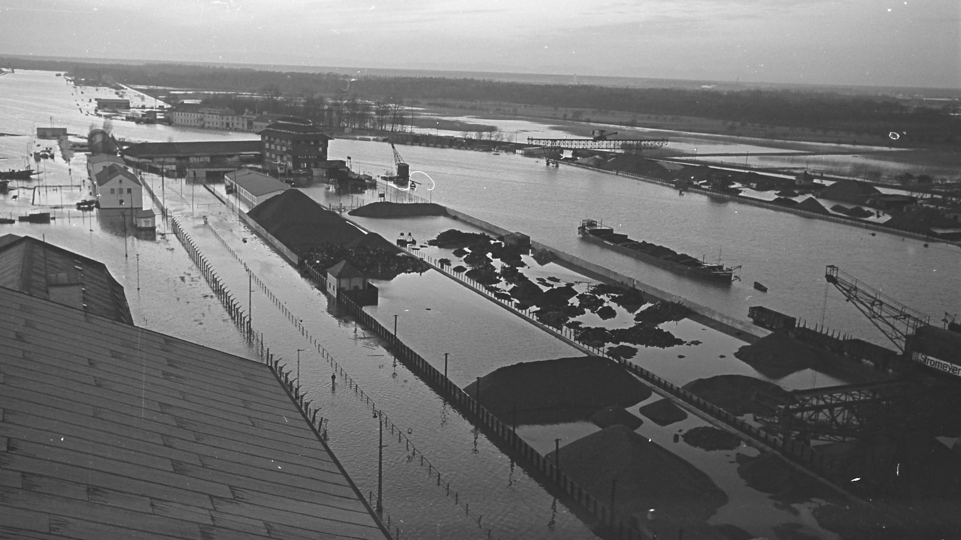 überschwemmter Rheinhafen 1955