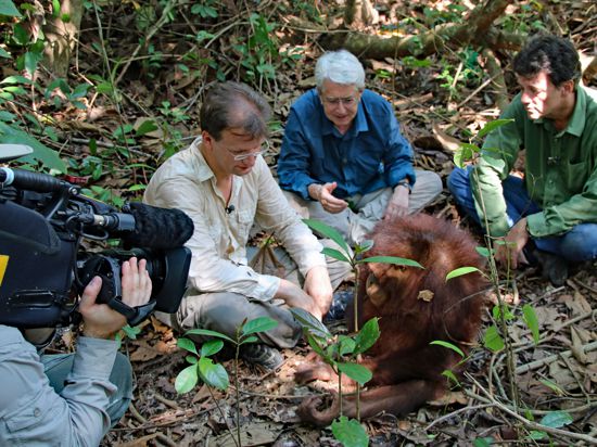 Reinschmidt, Elstner und Willie Smits in Indonesien auf einer Station mit Orang-Utans