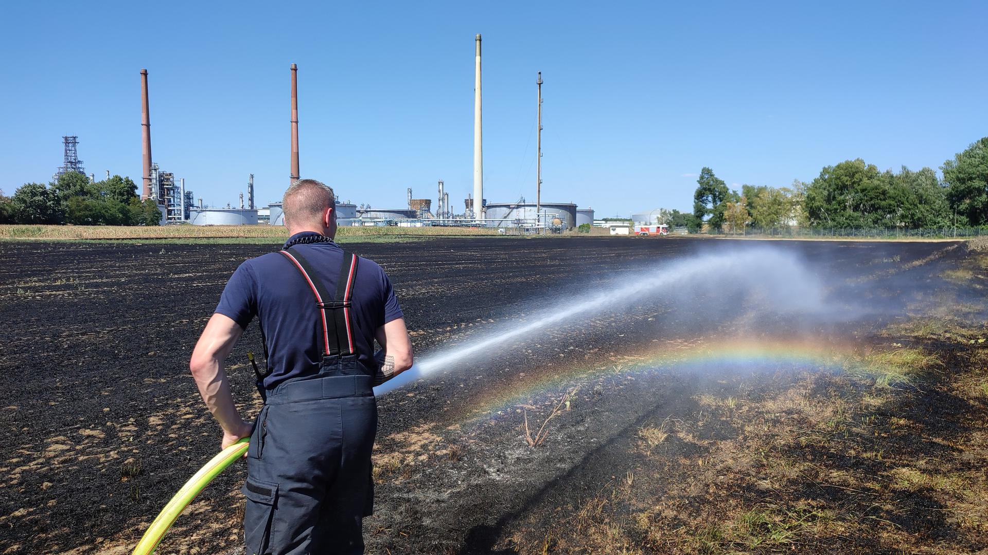 Flächenbrand: Ein Feuer hat nahe dem Frauenhäusleweg in Knielingen in Nachbarschaft der Raffinerie für Aufregung gesorgt. Die Feuerwehr erstickte die Flammen.