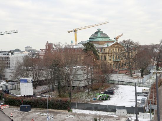 Kahl sind am 16.12.2022 die Bäume zwischen dem Bundesgerichtshof und dem Karlstor, die eventuell für den Bau des geplanten Forums Recht gefällt werden.
