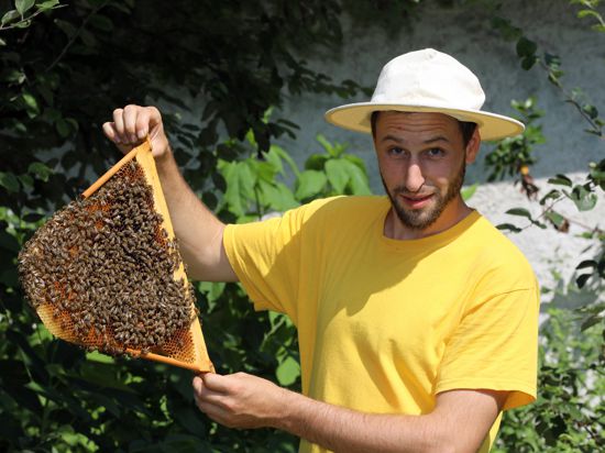 Ein Imker zeigt seine Bienen