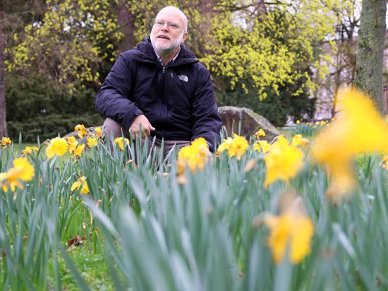 Narzissen gehen gut: Das erzählt Rainer Bussmann im Gespräch im Nymphengarten hinter dem Naturkundemuseum, wo die gelben Blumen blühen. Der Karlsruher Chefbotaniker empfiehlt außerdem Kräuter für den heimischen Balkonkasten.