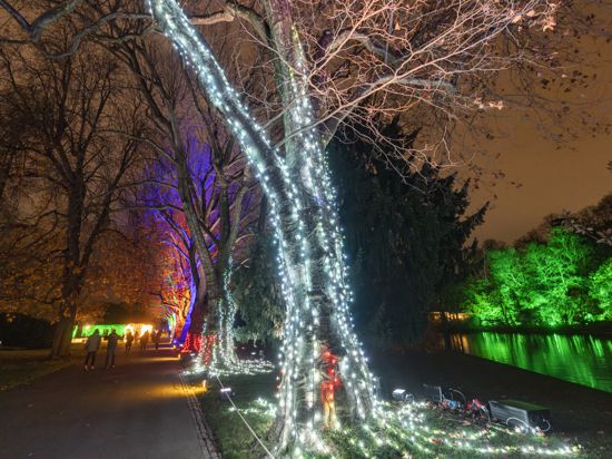 Zauberhaftes Licht- und Sounderlebnisse bietet der Christmas Garden noch bis Anfang Januar im Karlsruher Zoo.