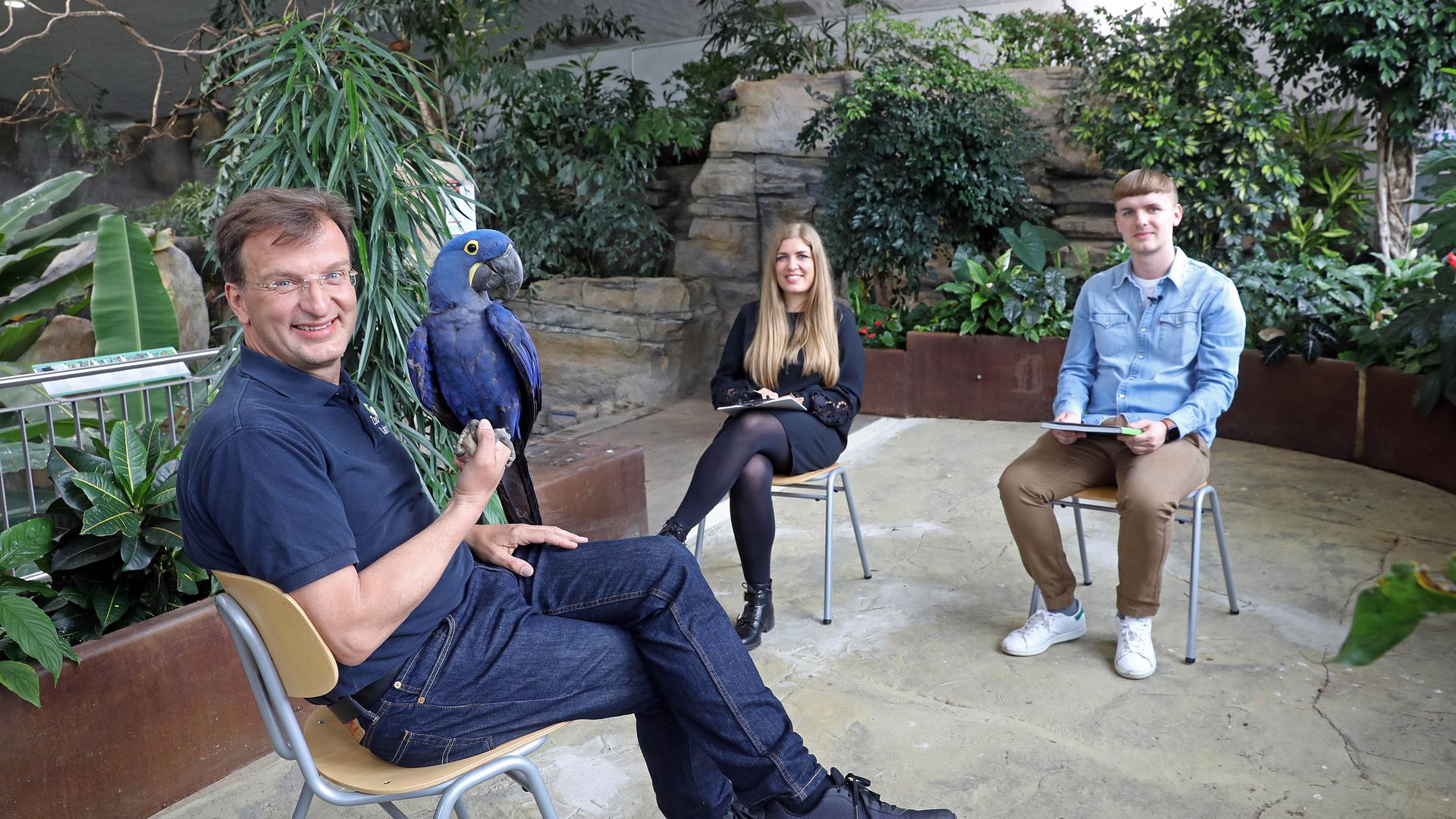 Zoodirektor Matthias Reinschmidt sitzt mit Janika Dehmer und Kai Hochstuhl im Exotenhaus und hat einen blauen Papagei auf dem Arm. 