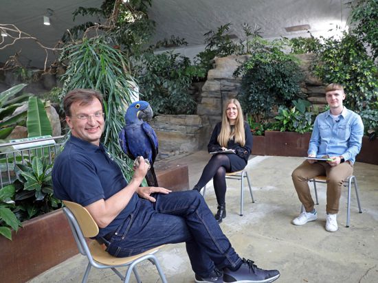 Zoodirektor Matthias Reinschmidt sitzt mit Janika Dehmer und Kai Hochstuhl im Exotenhaus und hat einen blauen Papagei auf dem Arm. 