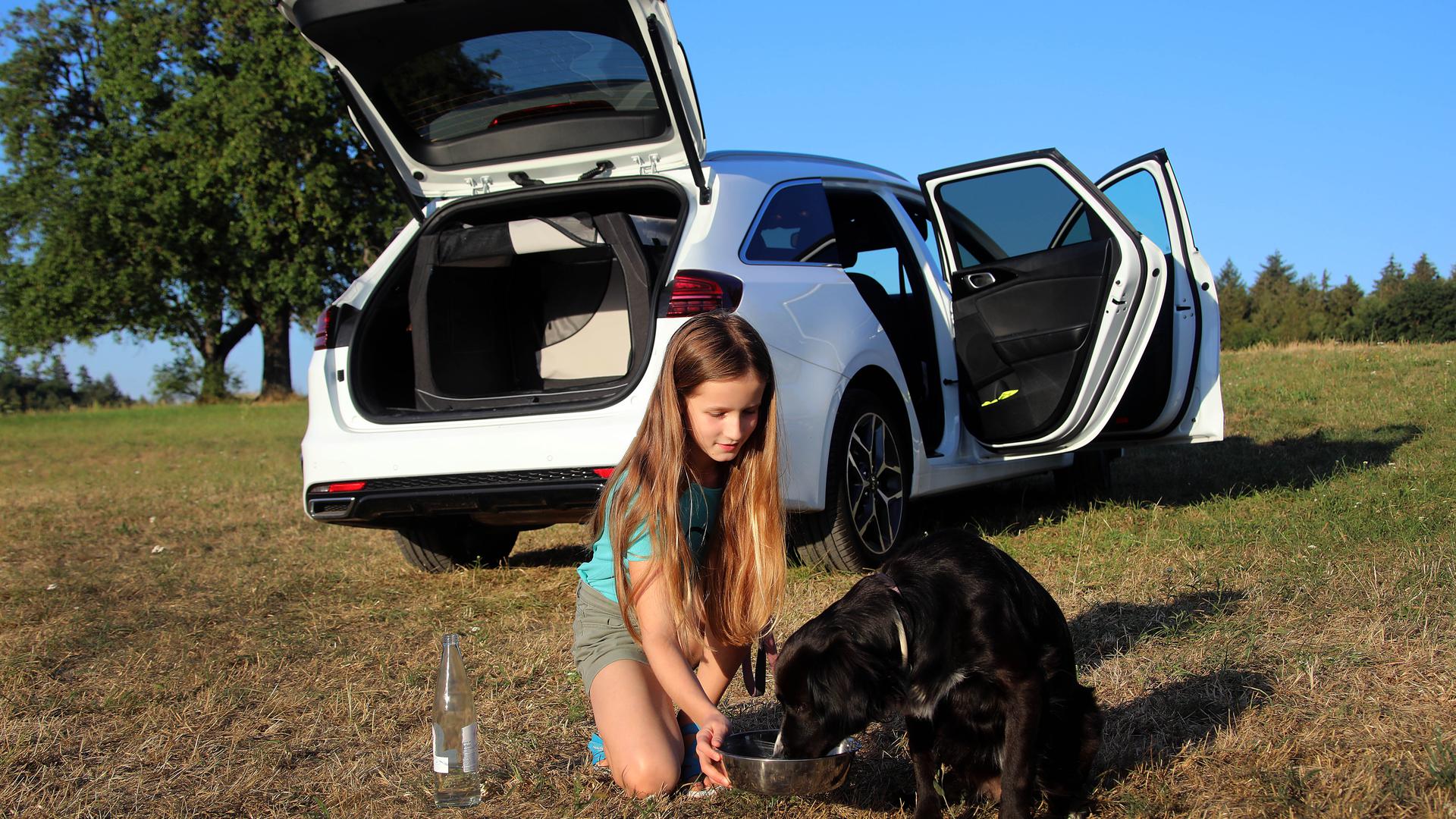 Wagen lüften und Wasser für den Hund: Wer mitdenkt, kann auch beim Autofahren der Hitze trotzen.