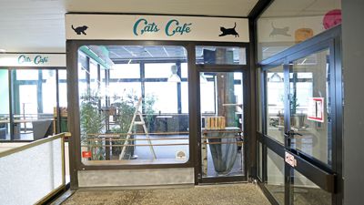Die Tür des Karlsruher Katzencafés „Stubentiger“ bleibt geschlossen. Das Café in der Kaiserpassage hatte erst im vergangenen Oktober eröffnet.