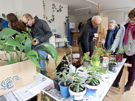Menschen schauen sich Pflanzen an bei der Pflanzentauschböese im Karlsruher Zukunftsraum.