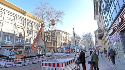 Die ersten Platanen sind gefallen: In den Morgenstunden des Freitags beseitigt eine Spezialfirma östlich des Marktplatzes die ersten vier der 48 Bäume in der Kaiserstraße. Nach der Umgestaltung sollen Zürgelbäume gepflanzt werden.