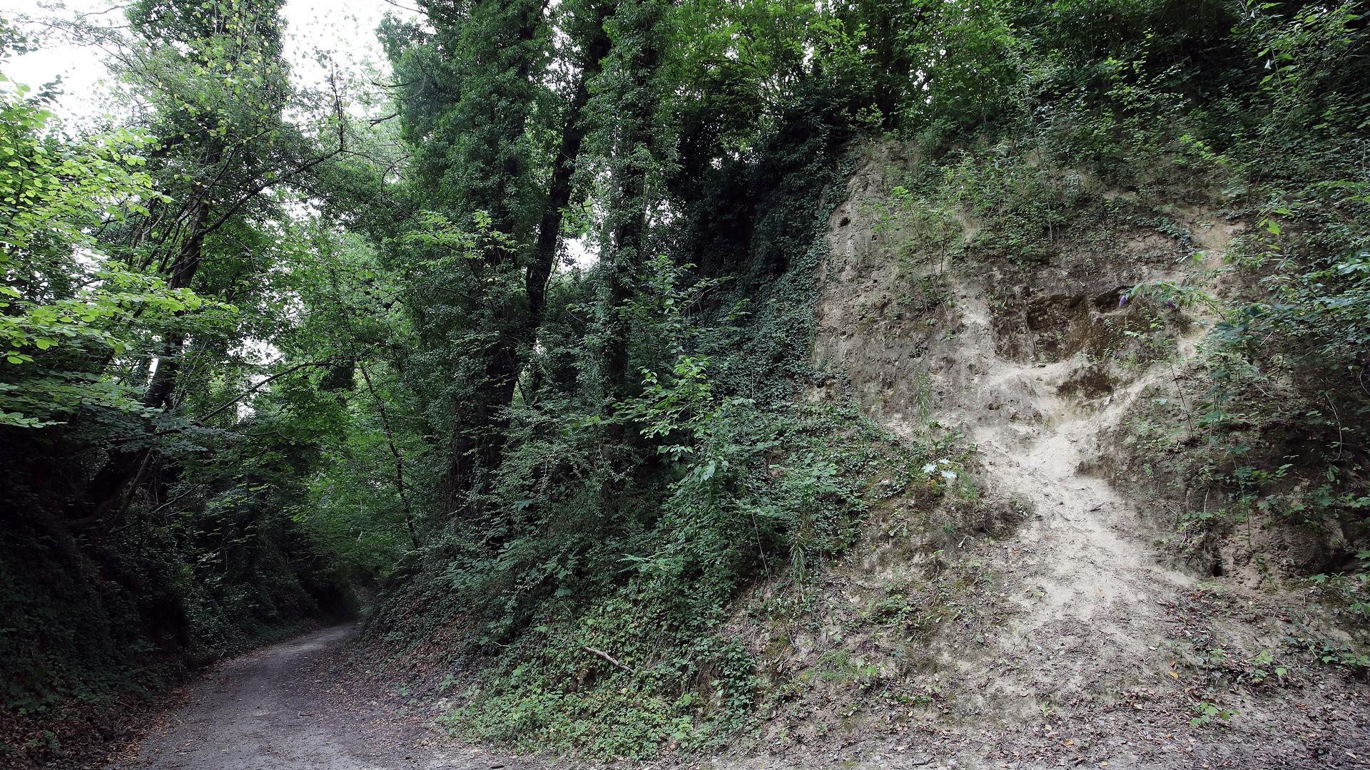 Die Ringelberghohl ist ein geschützter Naturschatz, der den Menschen seit vielen Jahrhunderten als Weg dient.