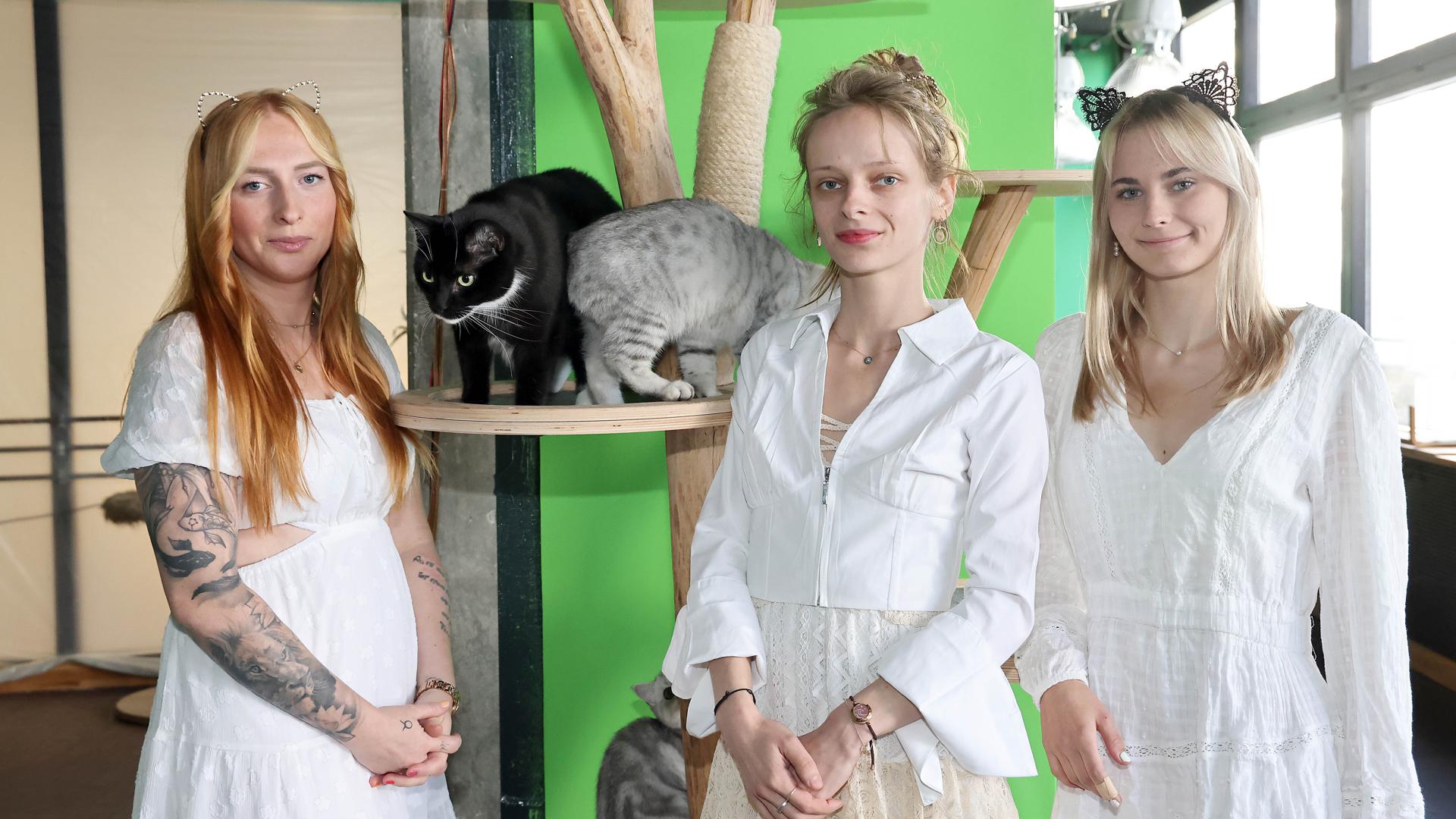 Das Katzencafé wird zum Stubentiger, das Foto zeigt (v.l.n.r.) Nadine Desch, Daria Levendeeva-Fromm, Laura Figueras.