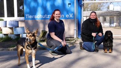 Angelina Lepoittevin mit Hund Nyschka, re. Steffi Kiel mit Hund Jack im Tierheim in Karlsruhe-Daxlanden.
