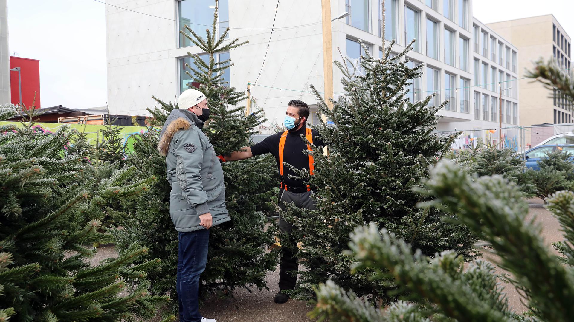 Gerd Brommer verkauf auf dem Messplatz in Karlsruhe einem Kunden einen Weihnachtsbaum