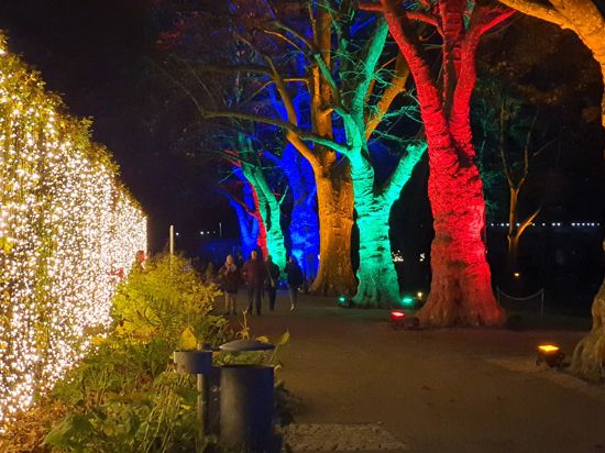 Der Christmas Garden verwandelte den Karlsruher Zoo in den vergangenen Wochen allabendlich in ein buntes Lichtermeer.