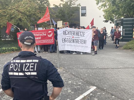 AfD Karlsruhe Antifa
