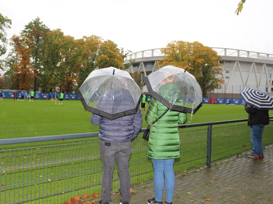 Fans beim KSC-Training im Wildpark mit Regenschirmen.
