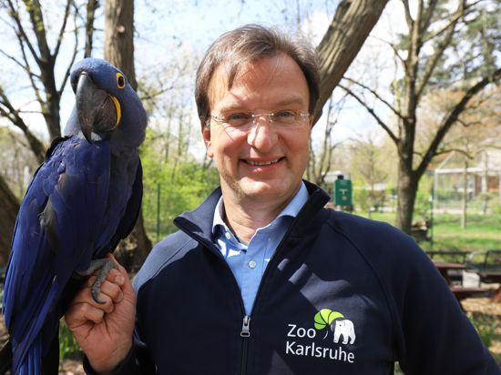Appell: Die Landesregierung soll nach Ansicht des Karlsruher Zoodirektors Matthias Reinschmidt die Weichen dafür stellen, dass der Tiergarten wieder öffnen darf.