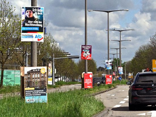 In Karlsruhe hängen Wahlplakate am Straßenrand