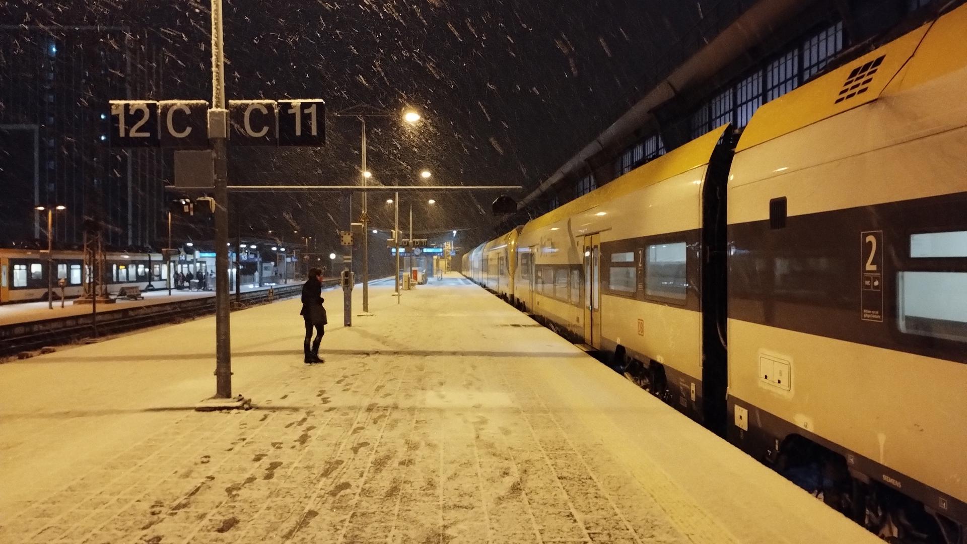 De erneute Schneefall hat Karlsruhe in ein Winter-Wonderland verwandelt.
