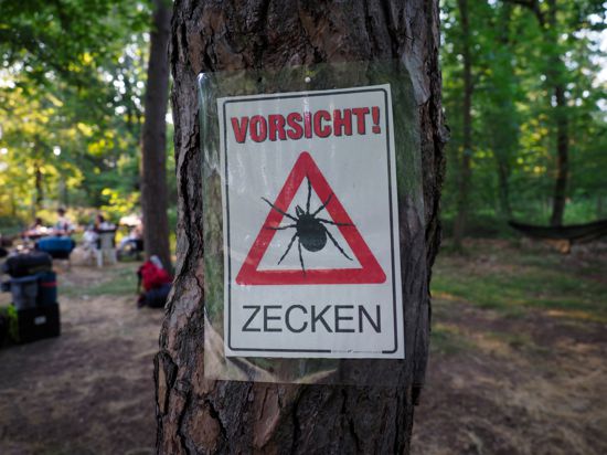 Ein Zecken-Warnschild im Karlsruher Hardtwald