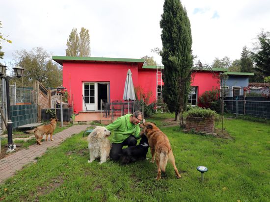 Stephan Winterhoff steichelt zwei seiner Hunde