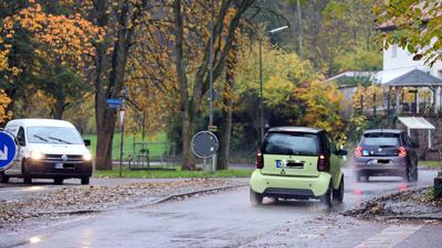 Autos rollen in beiden Richtungen auf nasser Straße mit Laub neben einem Grünbereich mit hohen Bäumen. 
