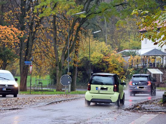 Autos rollen in beiden Richtungen auf nasser Straße mit Laub neben einem Grünbereich mit hohen Bäumen. 