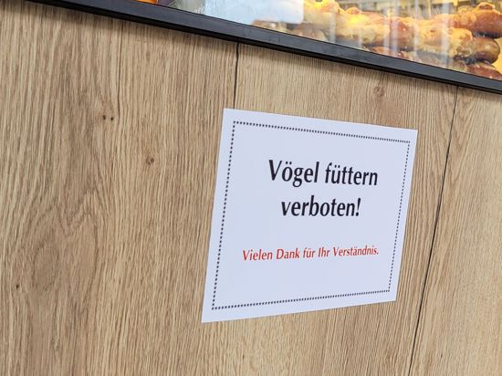 Ein Schild „Vögel füttern verboten“ an einer Bäckerei-Verkaufstheke