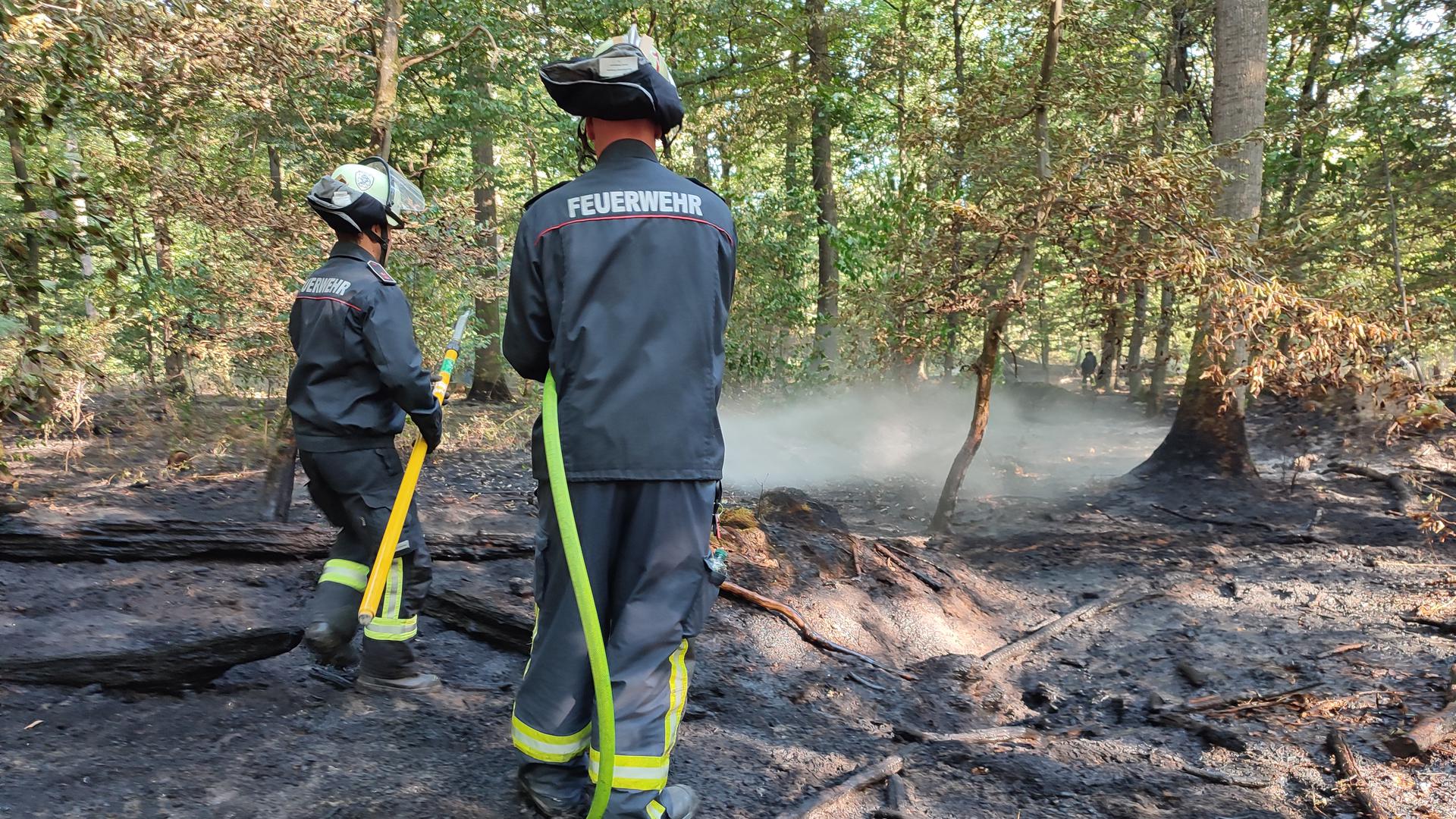 Am Freitagmorgen löscht die Feuerwehr einen Brand im Wald zwischen Grünwinkel und Oberreut