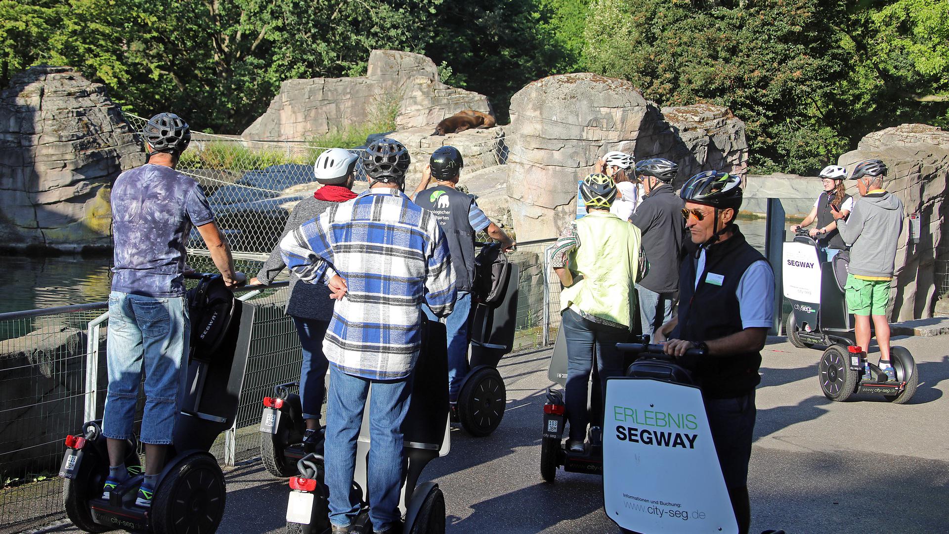 Segway-Tour durch den Zoo, mit Cityseg-Chef Jürgen Reiss (vorne rechts) bei den Seelöwen