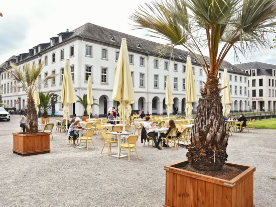 Palmen und die Terrasse des Restaurants Mauritius am Karlsruher Schlossplatz