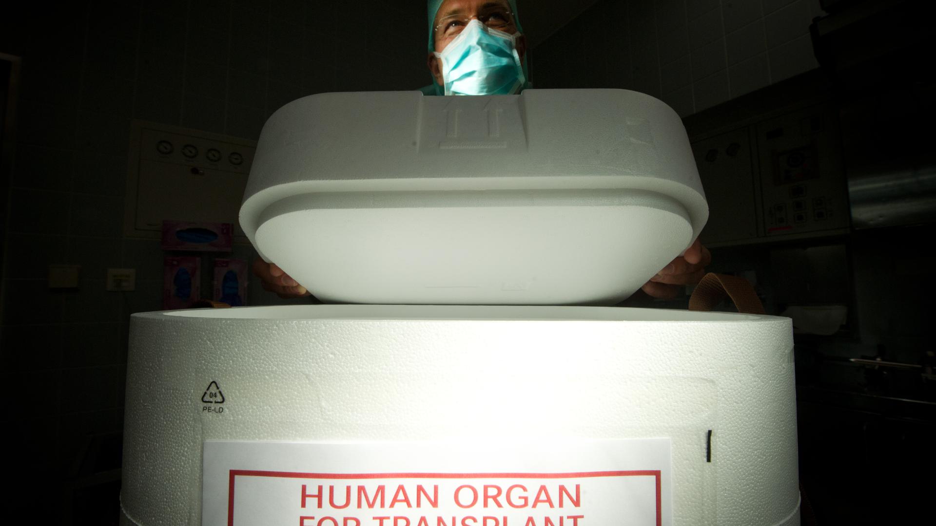 Ein Styropor-Behälter zum Transport von zur Transplantation vorgesehenen Organen steht am 27.09.2012 in Berlin im Operationssaal eines Krankenhauses auf einem Tisch. 