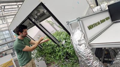 Gründer Daniel Trippe kontrolliert an der drehbaren Anlage, wie die Pfefferminz-Pflanzen im Botanischen Garten des KIT wachsen. 