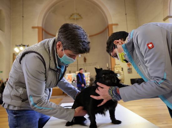 Tieraerztin Lisa Meinhardt bei der Vesperkirche mit Mitarbeiterin Simone Hils, Foto: Hund : Helge.
