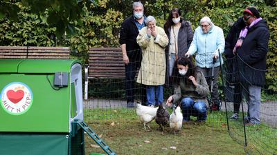 Hühner zum Mieten, das bietet der Karlsruher Rüdiger Gärtner an. Einer seiner Ställe mit vier Hennen steht derzeit im Garten des Friedensheim Karlsruhe.