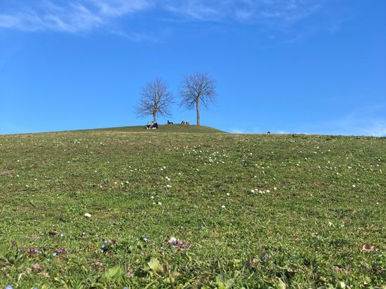 Der Mount Klotz im Frühling.