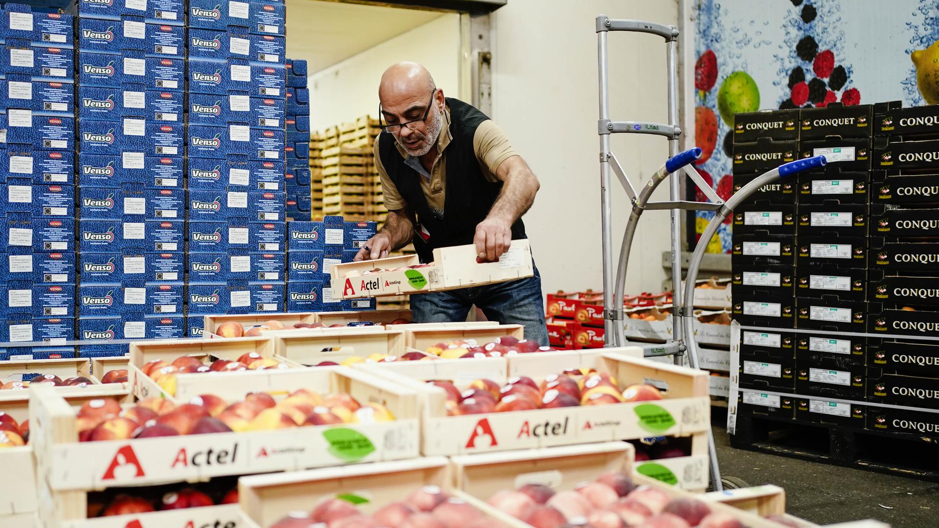 Hasmet Aysu, Mitarbeiter der Rolf Koch GmbH, stapelt im Verkaufsstand des Großmarkts Karlsruhe Obstkisten auf eine Sackkarre.