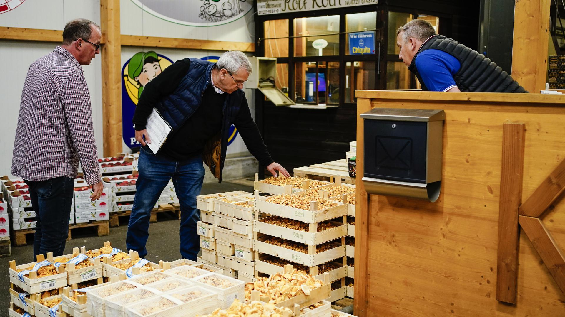 Karl Eugen Kummer, Obst- und Gemüsehändler (mitte), und Bernhard Lensch (rechts), Geschäftsführer der Rolf Koch GmbH, begutachten im Verkaufsstand des Großmarkts in Kisten gestapelte Pfifferlinge. 