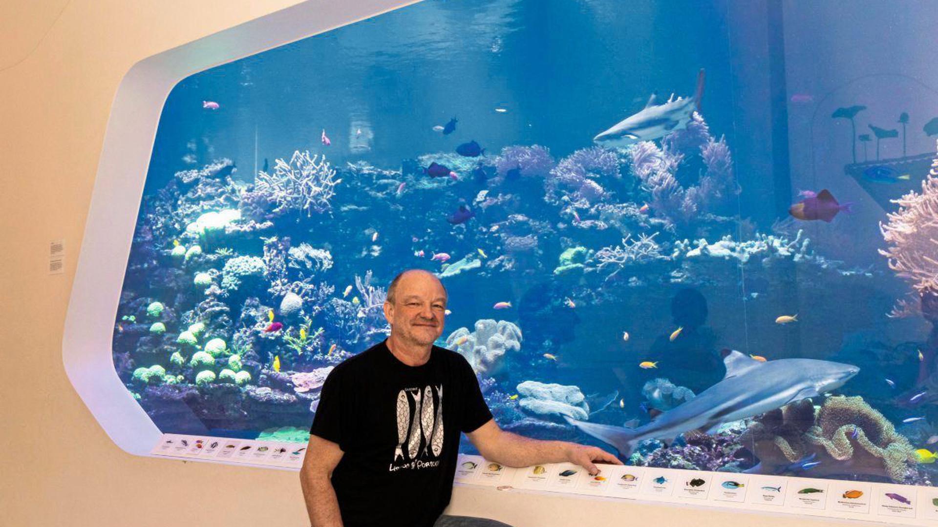 Ein Mann im T-Shirt steht vor einer Panoramascheibe eines Großaquariums mit einem Hai und Fischen an einem Korallenriff.