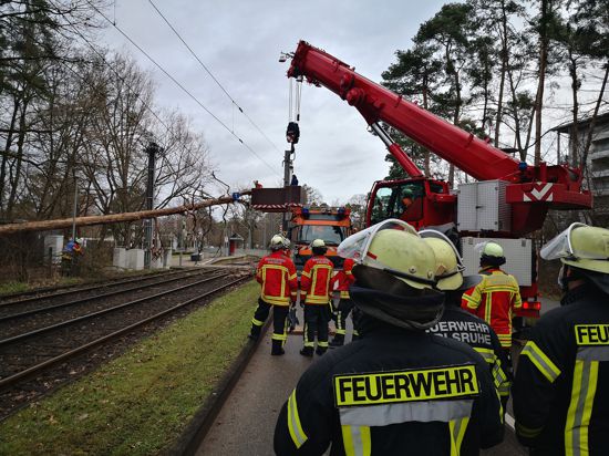 In der Karlsruher Waldstadt ist ein Baum auf eine Straßenbahn-Oberleitung gefallen. Die Feuerwehr hat das Holz bereits entfernt.
