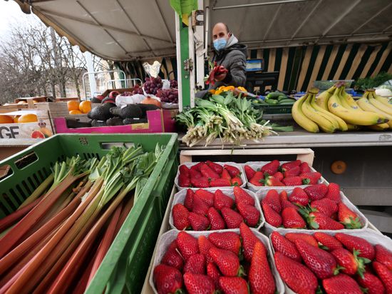 Beschicker David Stiny bietet auf dem Wochenmarkt am Stephanplatz in Karlsruhe Obst und Gemüse.