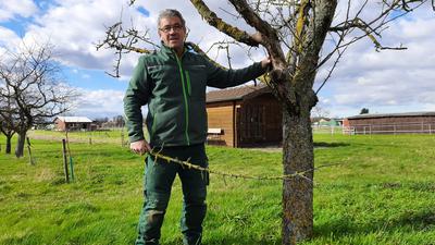 Michael Nagel, Vorsitzender des Obst- und Gartenbauvereins Spöck, steht vor einem Baum, der wahrscheinlich durch den trockenen Winter kaputt gegangen ist. 