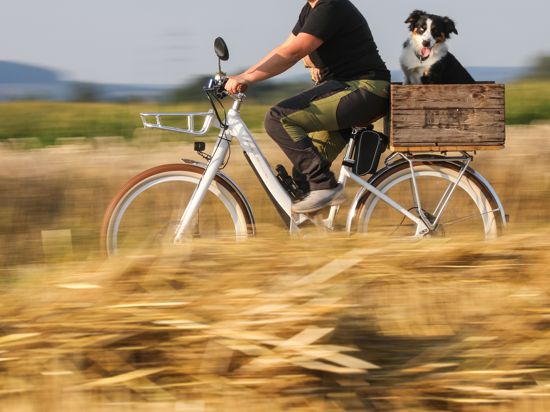 Zum Themendienst-Bericht vom 22. Juli 2022: Gassifahren statt querfeldein gehen: Auf dem Rad ist der Hund zumindest nicht den langen Halmen mit den für ihn fiesen Grannen ausgesetzt.