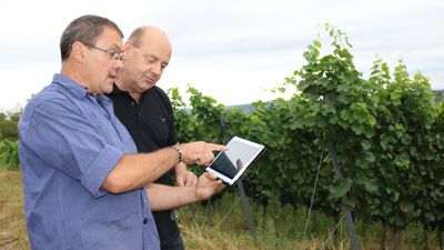 Der Pflegezustand einzelner Flächen kann per Tablet betrachtet werden, wie Volker Hartmann (links) und Frank Gauss in Weingarten demonstrieren: Gute Pflege der Weinberge lässt hohe Qualität erwarten.
