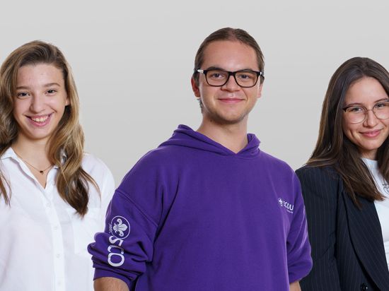 Begabte Schüler: Drei Jugendliche aus dem nördlichen Landkreis Karlsruhe haben im September das Stipendium „Talent im Land“ erhalten.