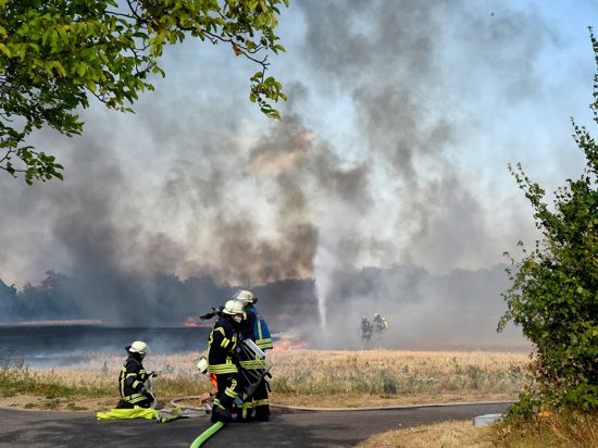Die Feuerwehr kämpft gegen einen Flächenbrand. Über einem Acker steht eine Rauchwand. Feuerwehrleute sind auf der Straße und auf dem Feld im Einsatz